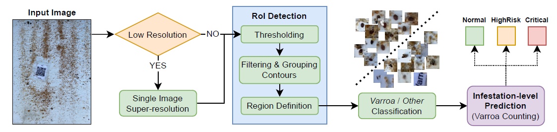 Monitoring of Varroa Infestation Rate in Beehives: A Simple AI Approach