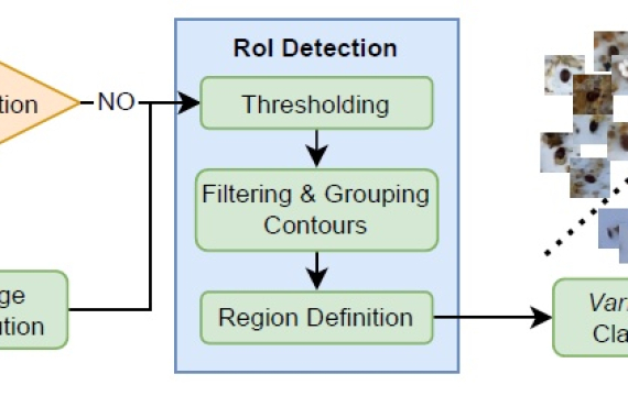 Monitoring of Varroa Infestation Rate in Beehives: A Simple AI Approach