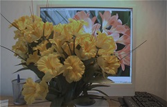 Restoration of images blurred by camera motion