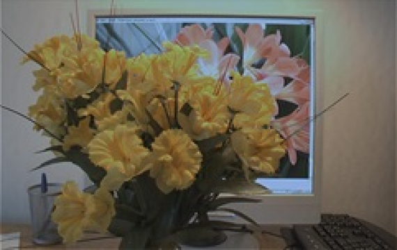 Restoration of images blurred by camera motion